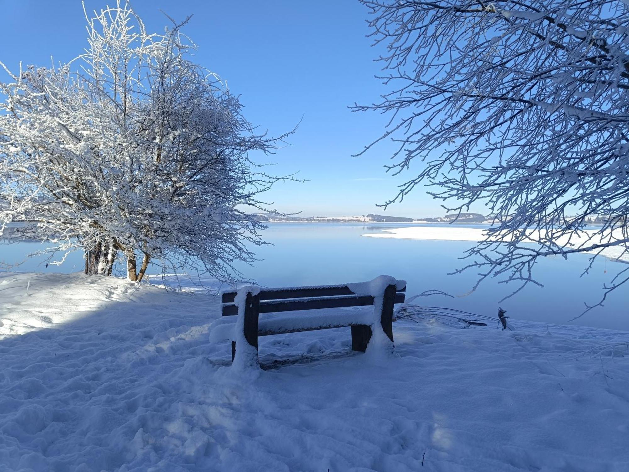 Ferienwohnung Zum Bartelt โฮเฮนชวานเกา ภายนอก รูปภาพ